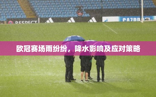 欧冠赛场雨纷纷，降水影响及应对策略