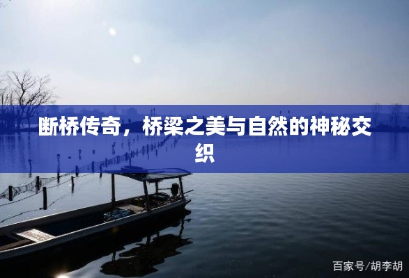 断桥传奇，桥梁之美与自然的神秘交织