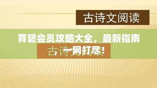 育碧会员攻略大全，最新指南，一网打尽！