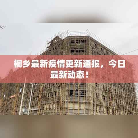 桐乡最新疫情更新通报，今日最新动态！