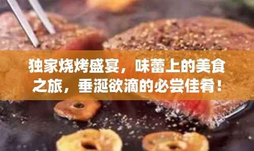 独家烧烤盛宴，味蕾上的美食之旅，垂涎欲滴的必尝佳肴！