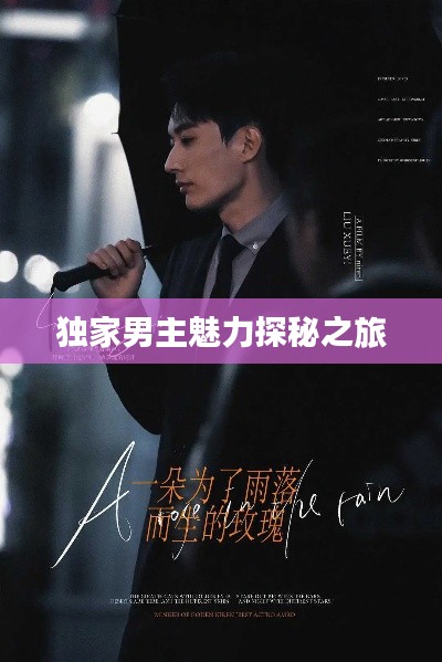 独家男主魅力探秘之旅