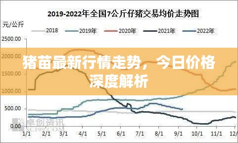 猪苗最新行情走势，今日价格深度解析