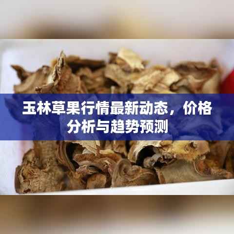 玉林草果行情最新动态，价格分析与趋势预测