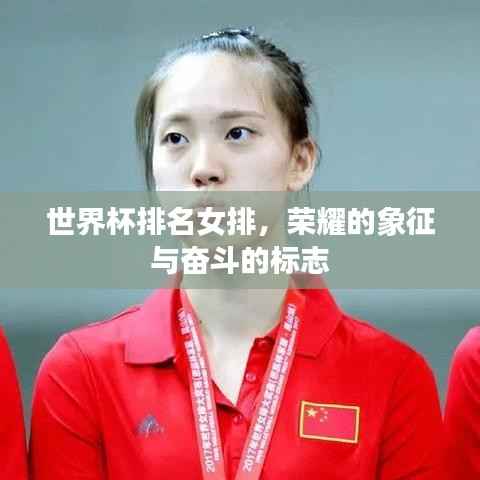 世界杯排名女排，荣耀的象征与奋斗的标志