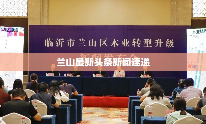 兰山最新头条新闻速递