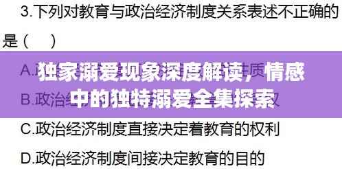独家溺爱现象深度解读，情感中的独特溺爱全集探索
