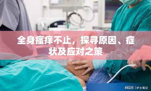 全身瘙痒不止，探寻原因、症状及应对之策