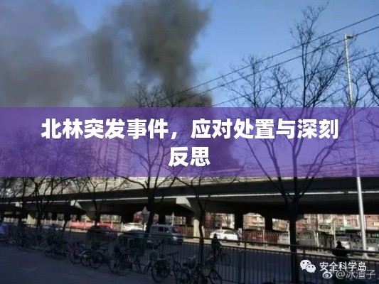 事必躬亲 第3页