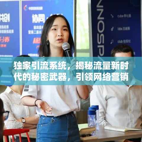 独家引流系统，揭秘流量新时代的秘密武器，引领网络营销新潮流！