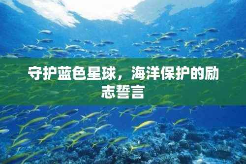守护蓝色星球，海洋保护的励志誓言