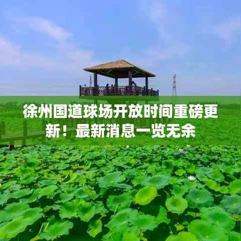 徐州国道球场开放时间重磅更新!最新消息一览无余