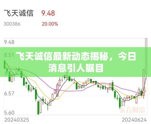 飞天诚信最新动态揭秘，今日消息引人瞩目