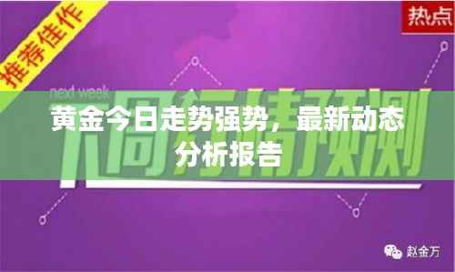 黄金今日走势强势,最新动态分析报告