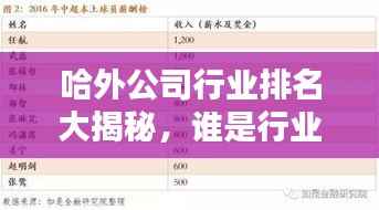 哈外公司行业排名大揭秘，谁是行业佼佼者？