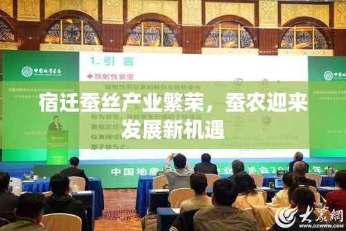 宿迁蚕丝产业繁荣，蚕农迎来发展新机遇