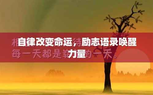 自律改变命运，励志语录唤醒力量