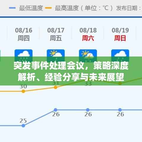 突发事件处理会议,策略深度解析、经验分享与未来展望