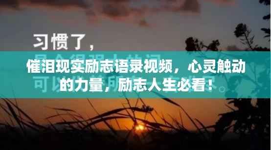 催泪现实励志语录视频,心灵触动的力量,励志人生必看!