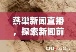 燕巢新闻直播，探索新闻前沿，实时掌握资讯动态，今日头条不容错过