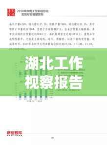 湖北工作视察报告深度解读，2018年成果与未来展望