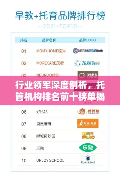 行业领军深度剖析,托管机构排名前十榜单揭晓!