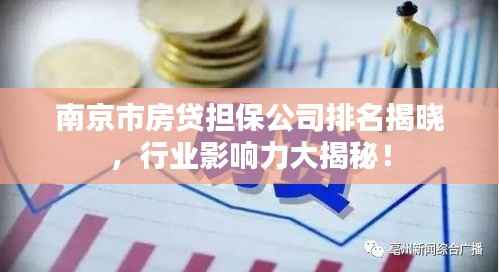 南京市房贷担保公司排名揭晓，行业影响力大揭秘！