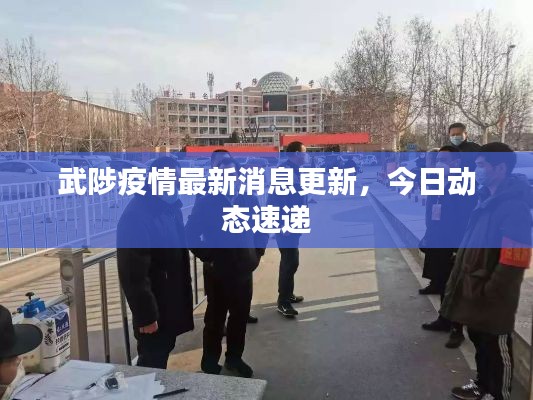 武陟疫情最新消息更新,今日动态速递