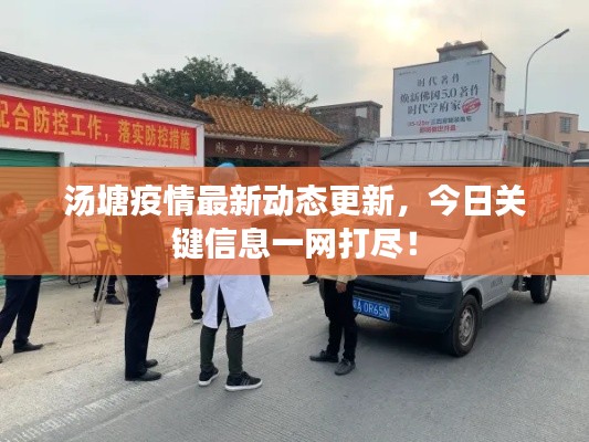 汤塘疫情最新动态更新，今日关键信息一网打尽！