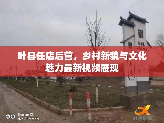 叶县任店后营，乡村新貌与文化魅力最新视频展现