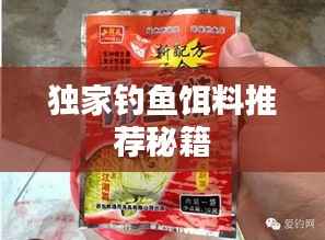 独家钓鱼饵料推荐秘籍
