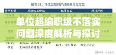 单位超编职级不落实问题深度解析与探讨