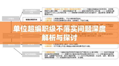 单位超编职级不落实问题深度解析与探讨