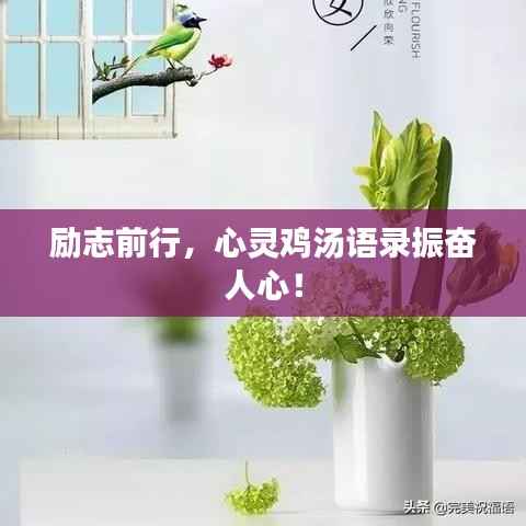 励志前行,心灵鸡汤语录振奋人心!