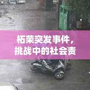 柘荣突发事件，挑战中的社会责任展现