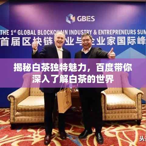 揭秘白茶独特魅力,百度带你深入了解白茶的世界