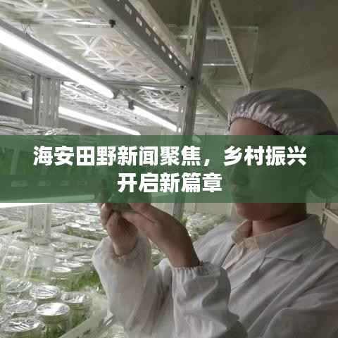 海安田野新闻聚焦，乡村振兴开启新篇章