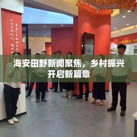 海安田野新闻聚焦,乡村振兴开启新篇章