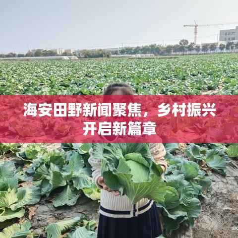 海安田野新闻聚焦,乡村振兴开启新篇章