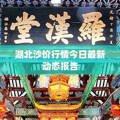 湖北沙价行情今日最新动态报告