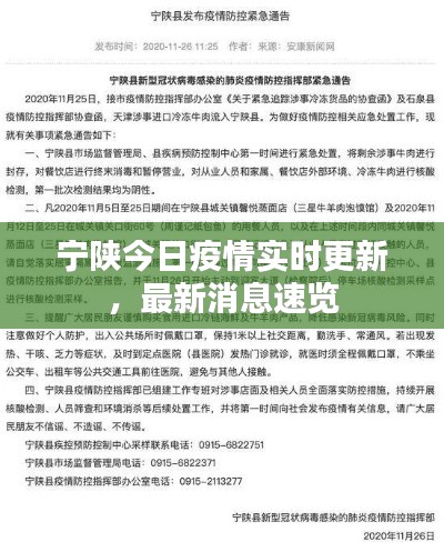 宁陕今日疫情实时更新,最新消息速览