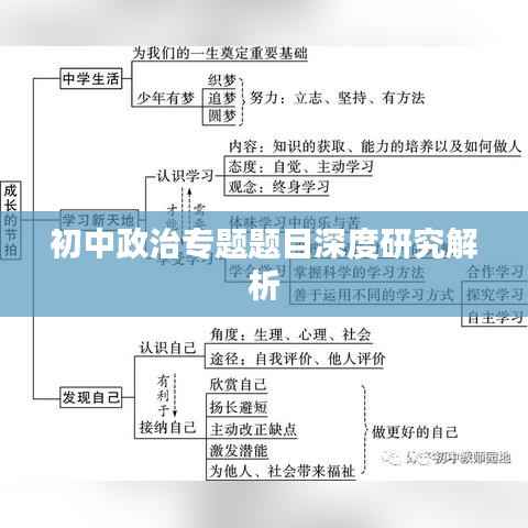 初中政治专题题目深度研究解析