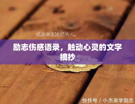 励志伤感语录,触动心灵的文字摘抄