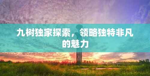 九树独家探索，领略独特非凡的魅力
