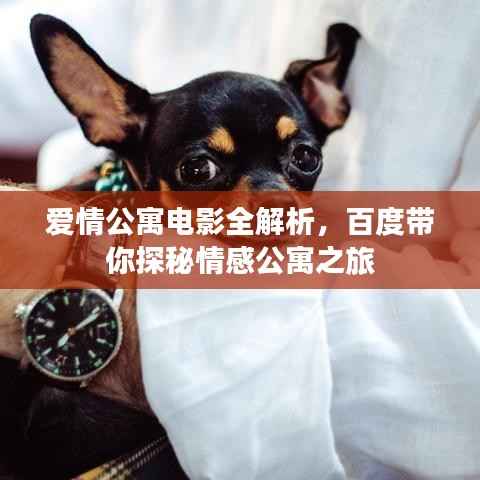 爱情公寓电影全解析，百度带你探秘情感公寓之旅
