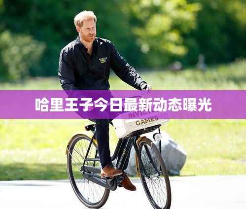 哈里王子今日最新动态曝光