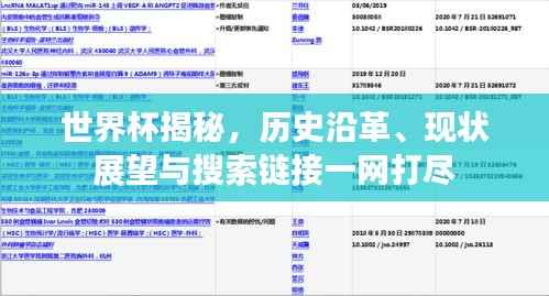 世界杯揭秘,历史沿革、现状展望与搜索链接一网打尽