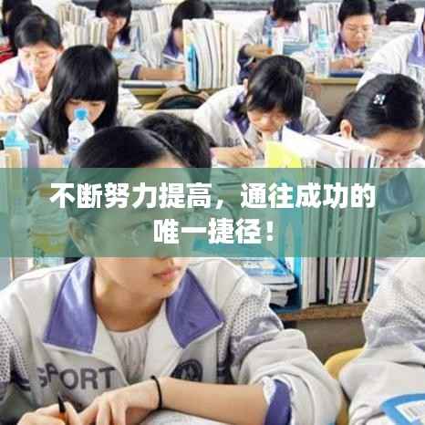 不断努力提高，通往成功的唯一捷径！