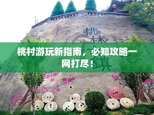 桃村游玩新指南,必知攻略一网打尽!