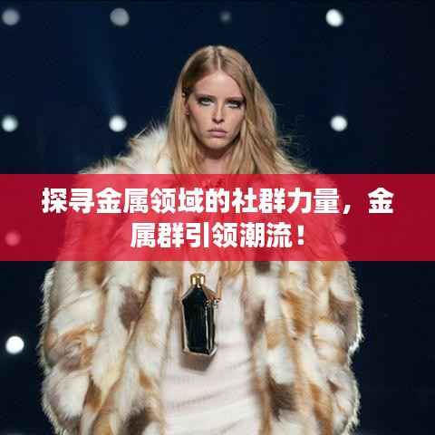 探寻金属领域的社群力量，金属群引领潮流！